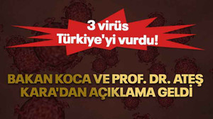 3 virüs Türkiye'yi vurdu! Bakan Koca ve Prof. Dr. Ateş Kara'dan açıklama geldi